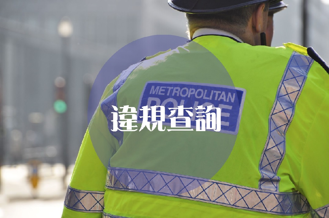 違規查詢